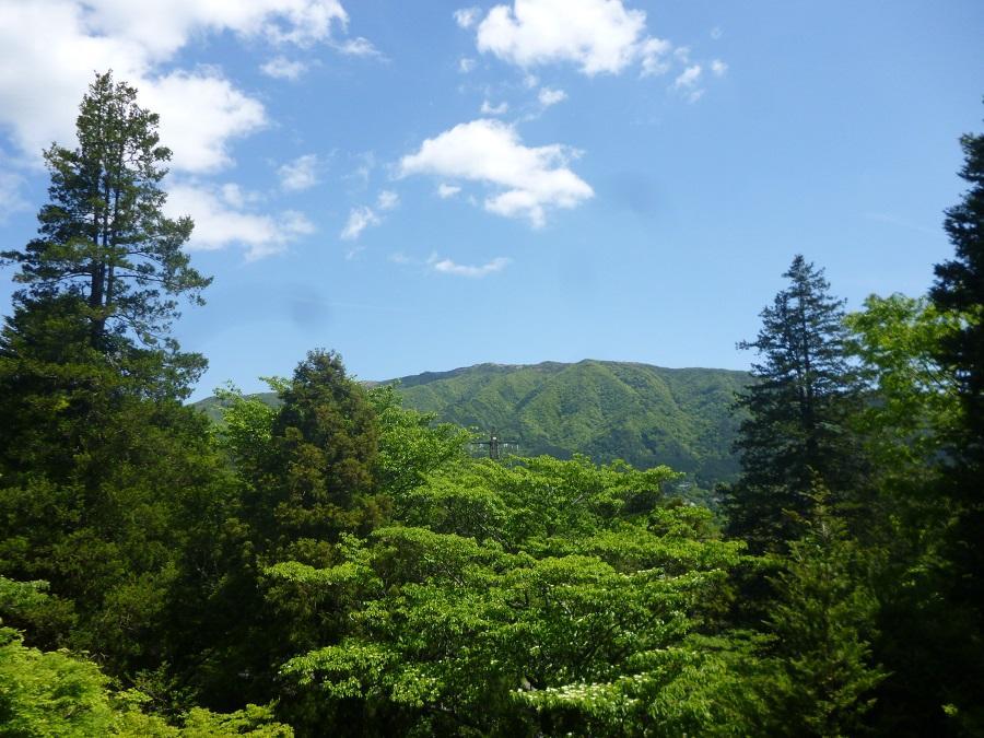 Hotel Kaze No Ne Hakone Exteriér fotografie